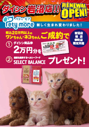 岩沼店イベント1