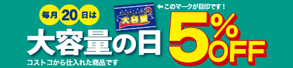 毎月20日は大容量の日