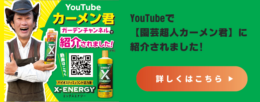 話題の商品をチェックxenergy