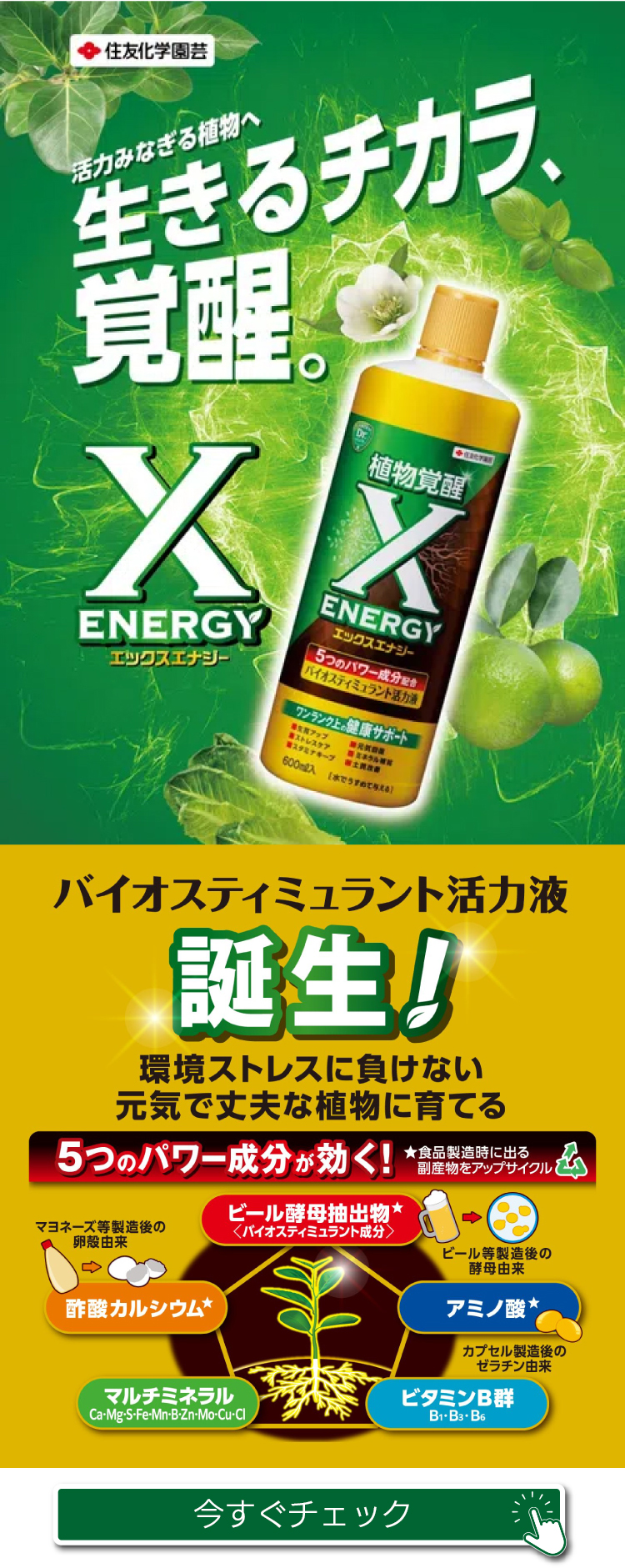 商品をチェック