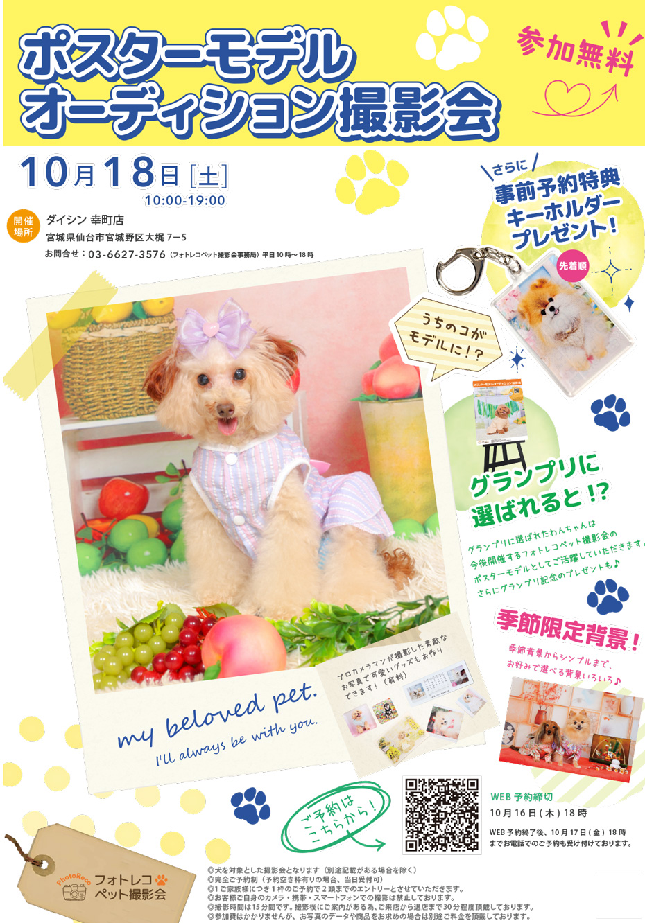 わんちゃん撮影会イベント