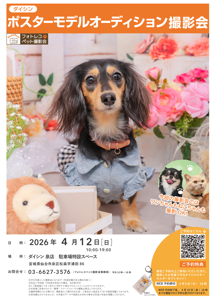 わんちゃん撮影会