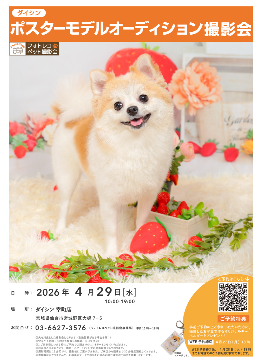 わんちゃん撮影会