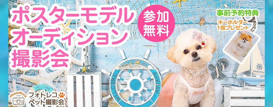 ペットポスターモデルオーディション