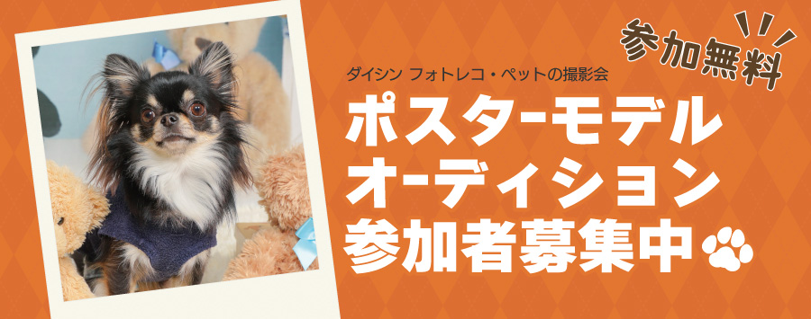 ペットフォトポスターオーディション